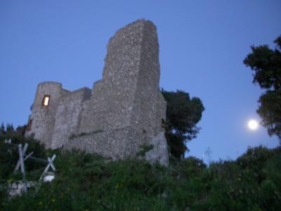 DSCN4237.jpg