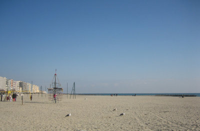 Montpellier_HC_Jan2012 036.jpg