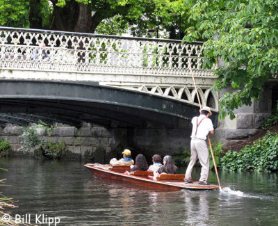 Punting on the Avon,  Christchurch  1