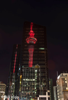 Auckland Sky Tower  with Memorial Lights  3