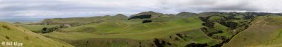 Cape Kidnappers Pano,   Napier  3