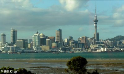 Auckland City Scenics  1