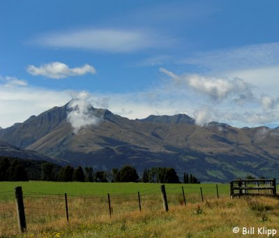 Dart River Scenics   Queenstown   1