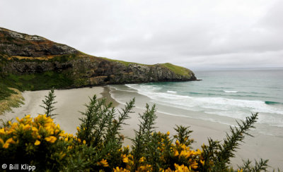 Otago Peninsula Coastline  4