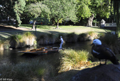 Punting on the Avon,  Christchurch  2