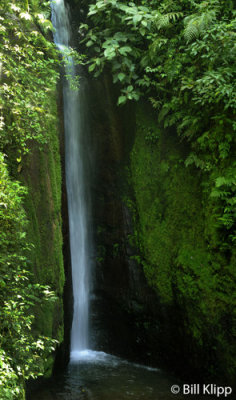 Arenal Waterfall   1