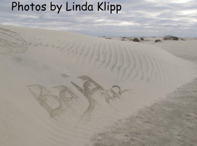 Isla Magdalena  Baja