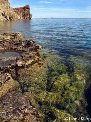 Isla Danzante, Sea of Cortez  3