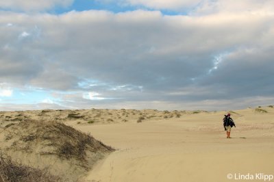 Sand Dollar Beach,  Isla Magdalena