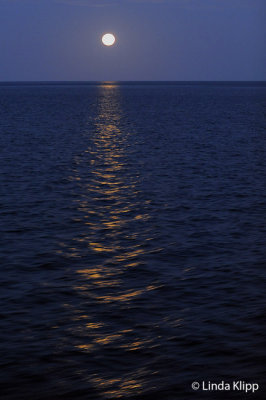 Moonrise, Sea of Cortez   1