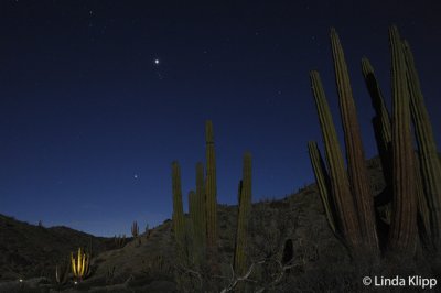 Light Painting, Santa Catalina 2