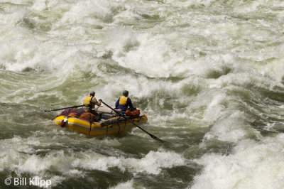 Lava Rapids 6