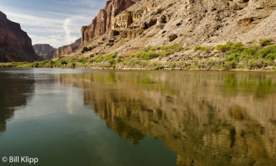 Colorado River Reflections  1