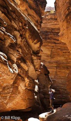 Black Tail Canyon 5