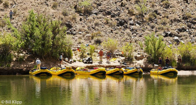 Colorado River Rafting Trip  10