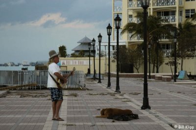 Mallory Square Banjo Man