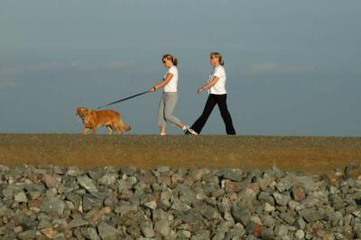 Disco Bay Scenics Levee Walking