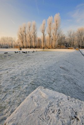 Kasteelpark Arenberg