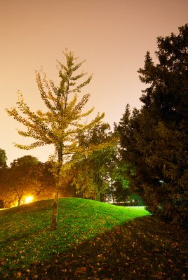 Kasteelpark Arenberg, Leuven