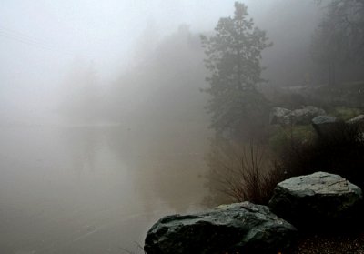 Foggy Day at Lake Arthur