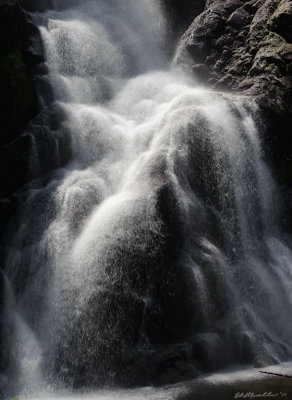 g4/57/624457/3/135873546.ws6pT8Eq.jpg