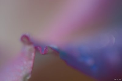g4/57/624457/3/91111538.TAMAbN44.jpg