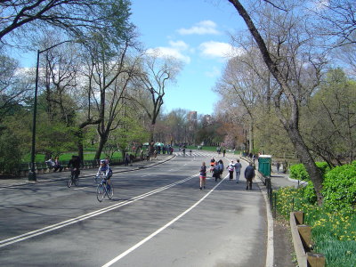 Central Park