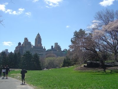 Central Park