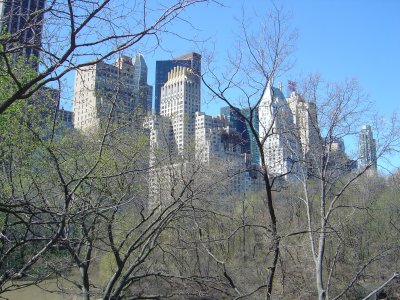 Central Park