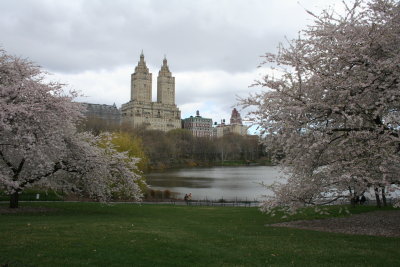 Central Park