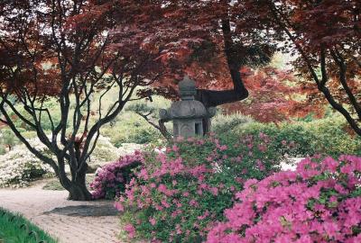 Japanese garden 5