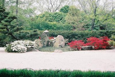 Japaneze garden6