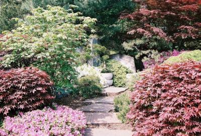 Japaneze garden9