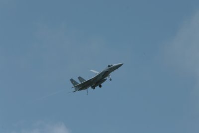 IMG_1290.JPG