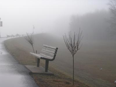 g4/57/660457/3/59313948.mistyparkbench.jpg