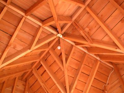 the ceiling in the Pond House