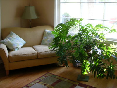 Magdusi living room