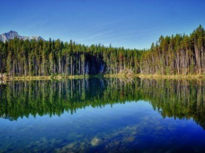Hebert Lake Reflections