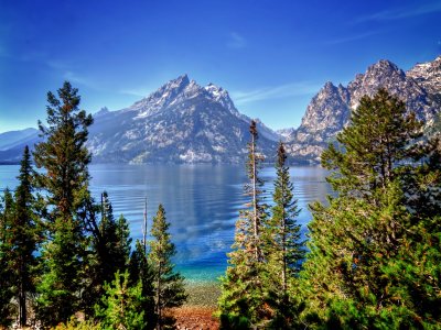 Grand Teton National Park on a Misty Day