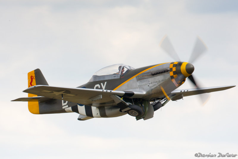 dux31.jpg