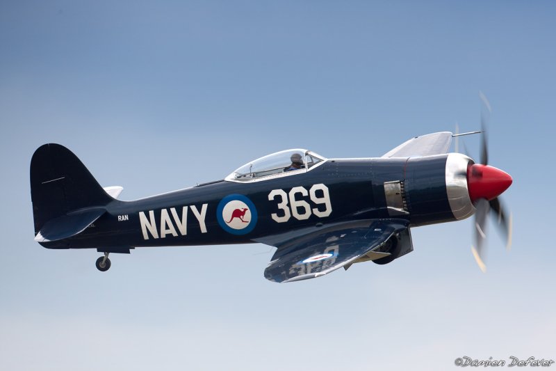 dux38.jpg