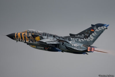 ntm06.jpg