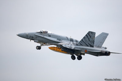 ntm07.jpg