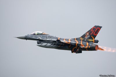 ntm14.jpg