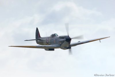 dux01.jpg