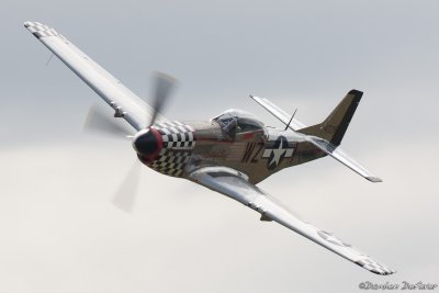 dux13.jpg