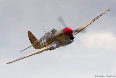 dux18.jpg