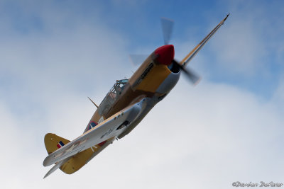 dux22.jpg