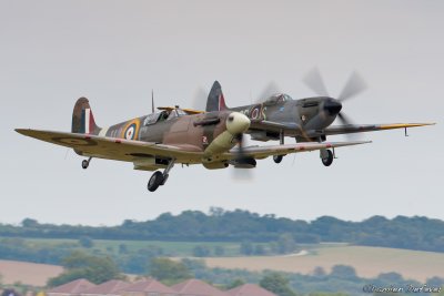 dux26.jpg