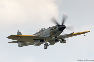 dux28.jpg